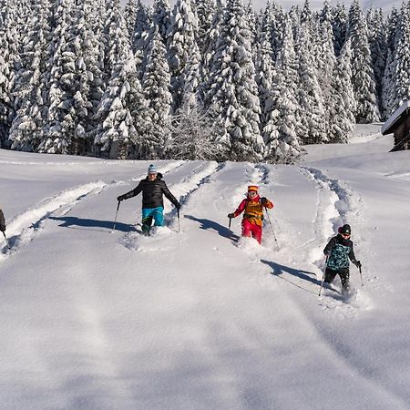 Natur- & Wanderhotel Tuxertal Luaran gambar