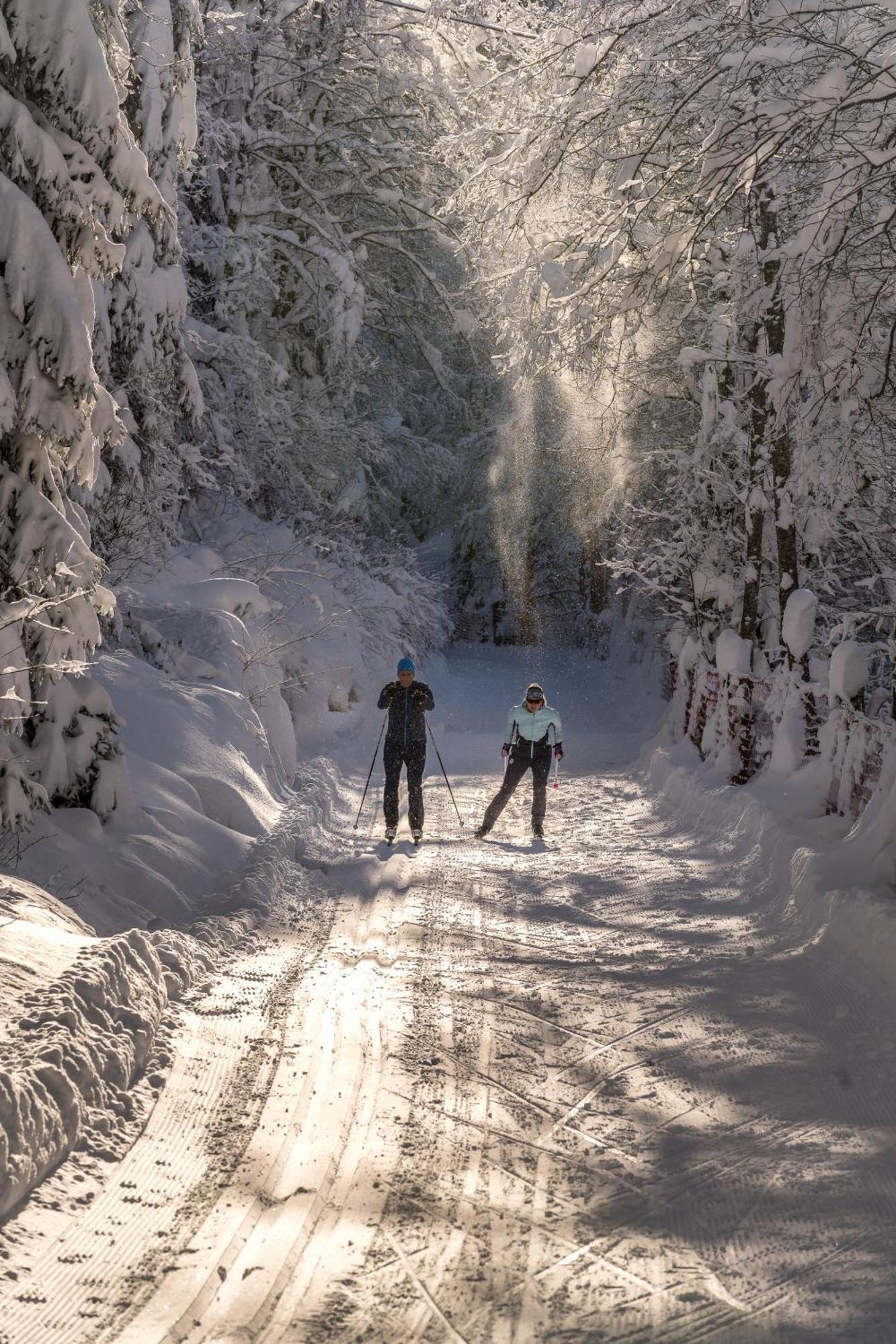 Natur- & Wanderhotel Tuxertal Luaran gambar